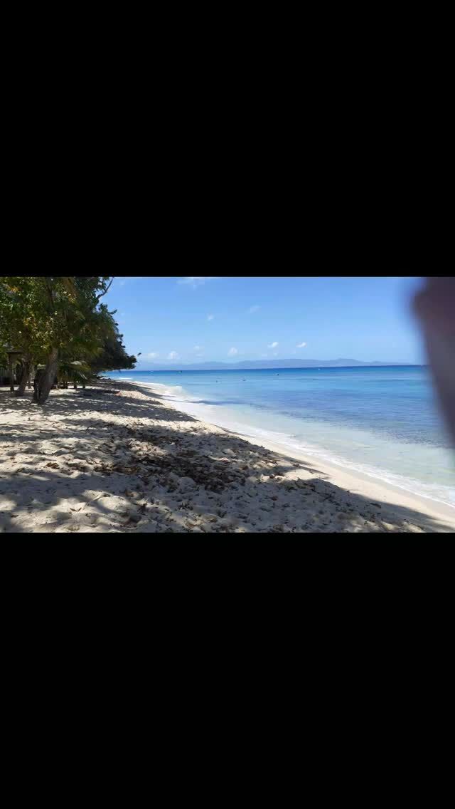 Sable blanc, mer turquoise et ciel bleu.
De Port Louis à Anse Bertrand, 9 km de balade entre la mer et la mangrove, malheureusement bien sèche.
#portlouis #borddeplage #plagedusouffleur #sableblanc #merdescaraibes #languedebellemère #bernardlhermite #epiphyte #boisflotté #pointedantigue